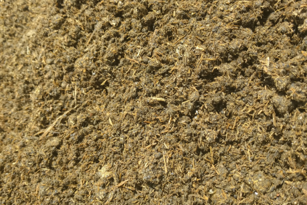 image 12604.png