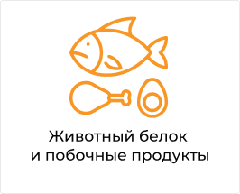 Животный белок.png
